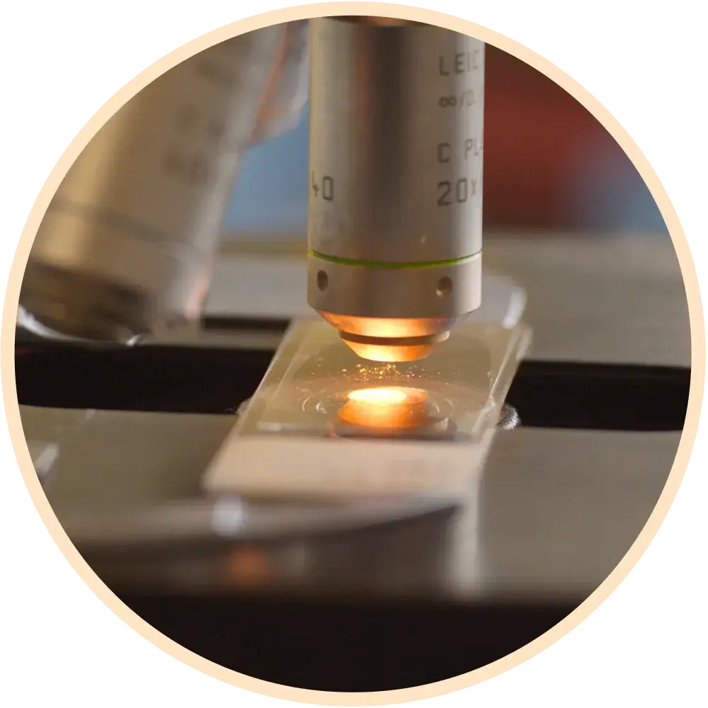 Arcadia Health Consultancy