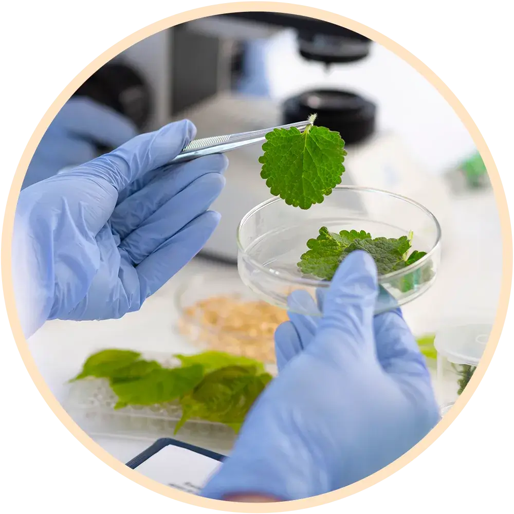 Arcadia Health Consultancy