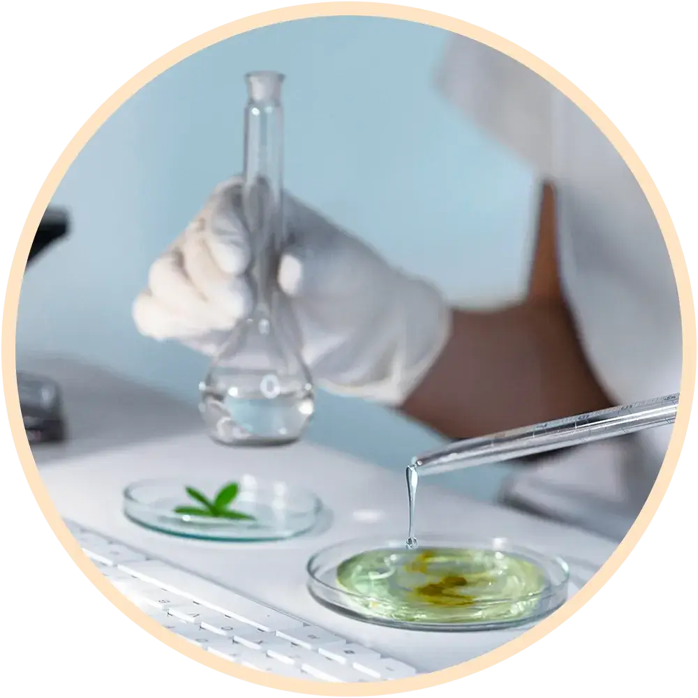 Arcadia Health Consultancy